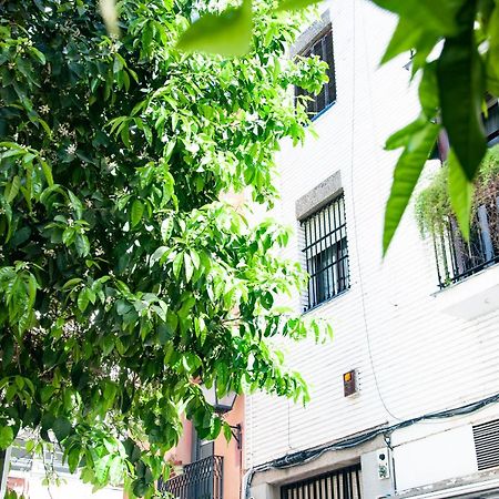 Alohamundi Cruz Verde Sevilla Exteriér fotografie
